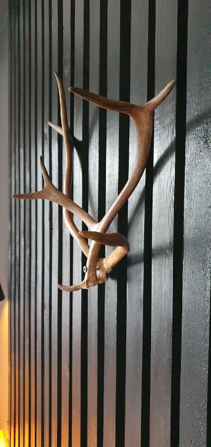 Apartment Sanctus Nicolaus With Sauna 罗瓦涅米 外观 照片
